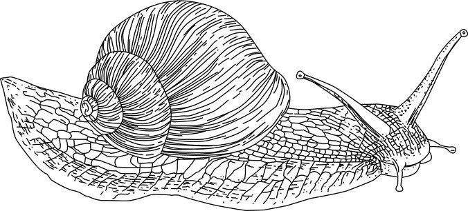 向量的蜗牛