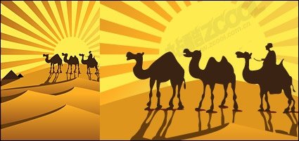 骆驼在沙漠矢量素材