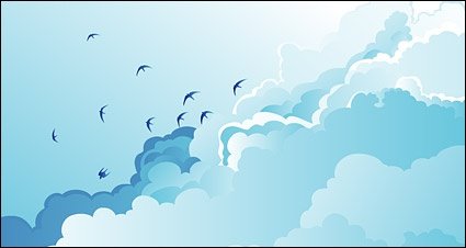 鸟在多云的天空