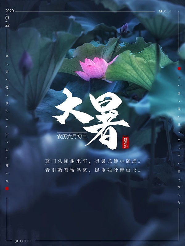 清新简约风传统二十四节气大暑海报