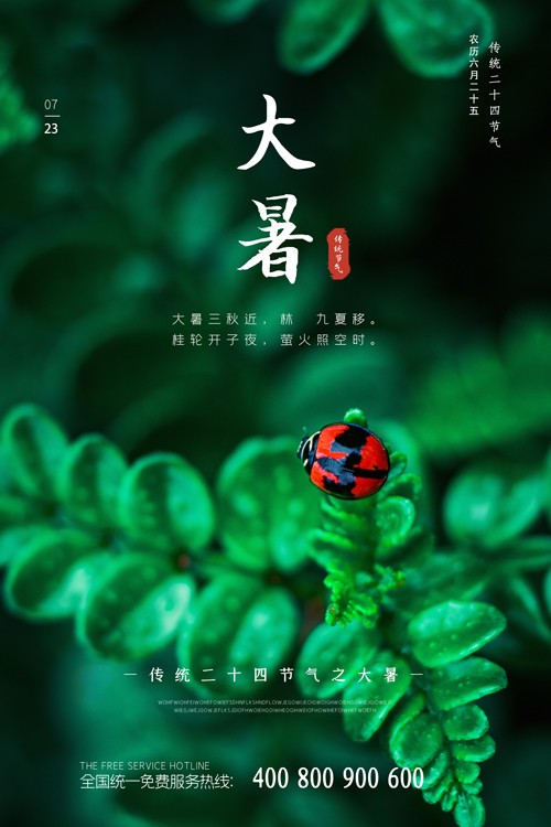 自然昆虫绿植背景大暑广告海报