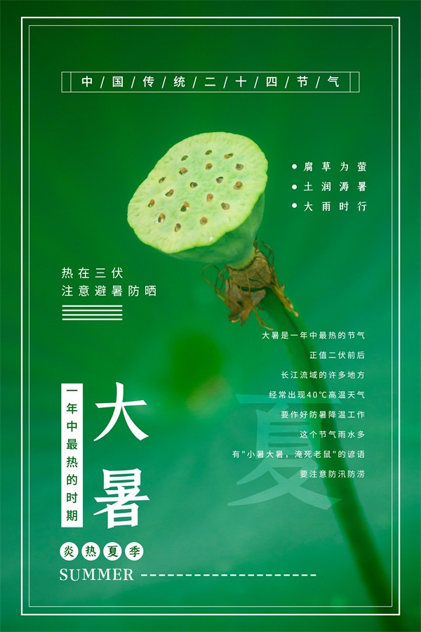 绿色清新炎热夏季大暑节气莲蓬海报