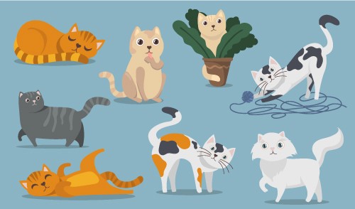 卡通彩绘猫猫形态鉴赏矢量素材