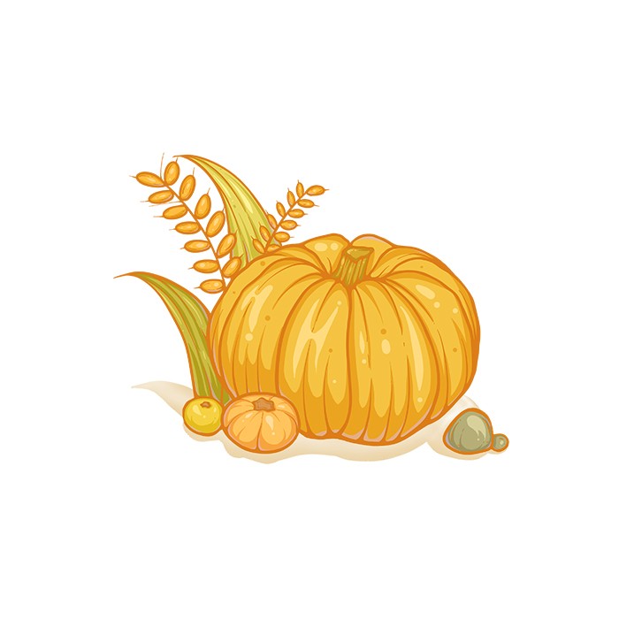 秋天黄色丰收立秋南瓜小麦水稻柿子插画元素免抠素材