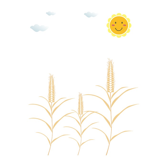 秋天立秋金色麦穗丰收手绘矢量太阳元素免抠素材