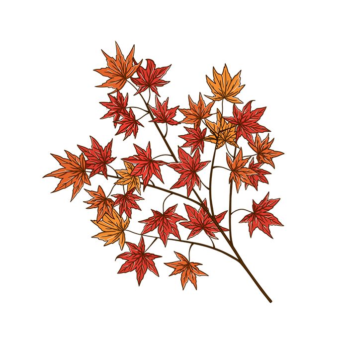 红色秋天手绘枫叶元素免抠素材