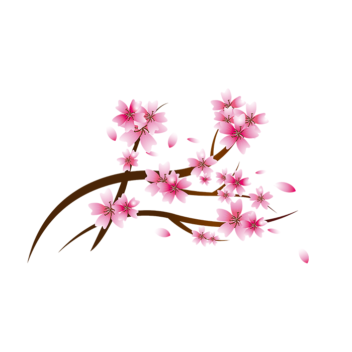中国风粉红色樱花矢量插画免抠元素
