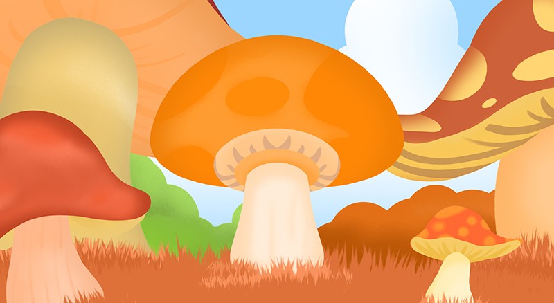 黄色蘑菇收获季节秋天高大蘑菇手绘免抠背景