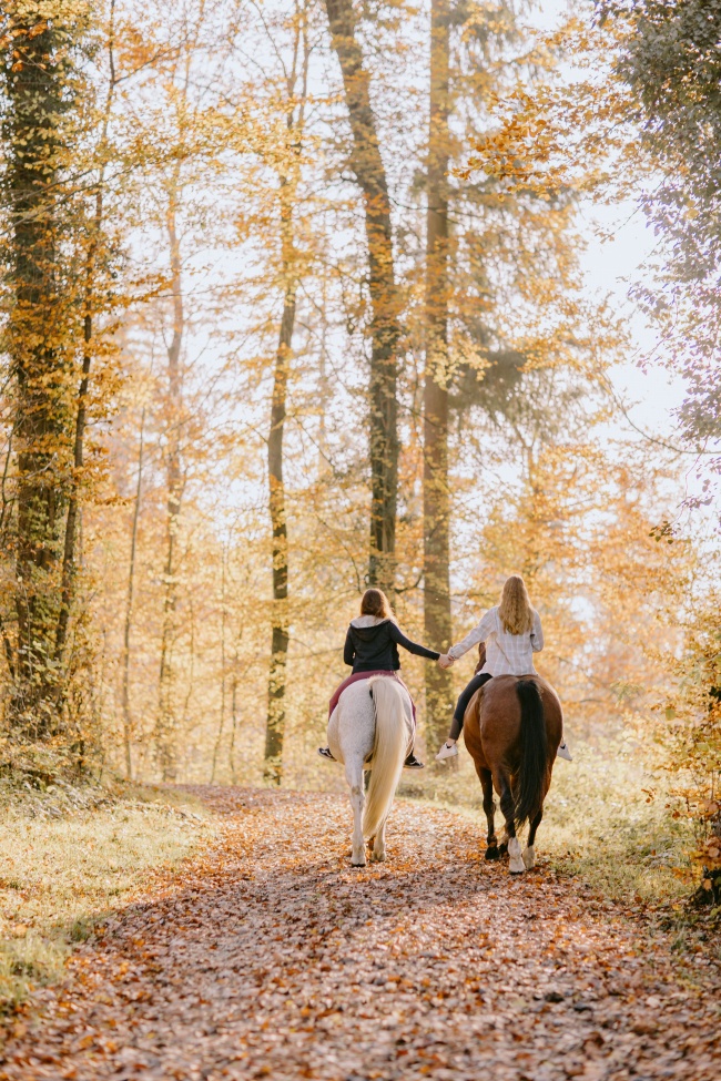 秋季闺蜜树林骑马背影图片