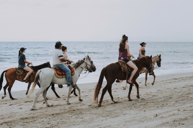 海边骑马游客图片