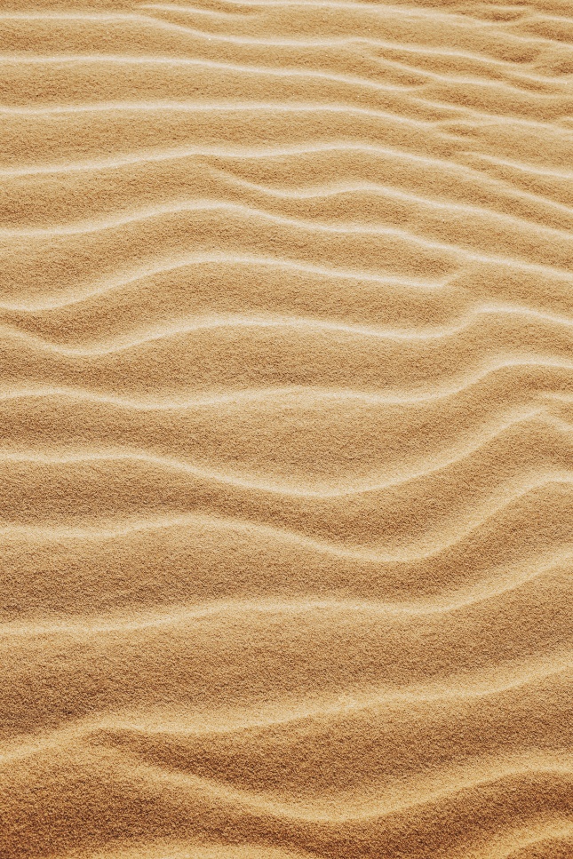 沙漠中的细沙丘图片