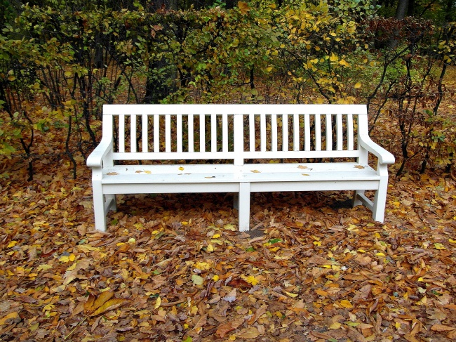公园白色休闲靠椅图片
