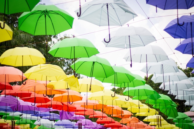 多彩天幕雨伞图片