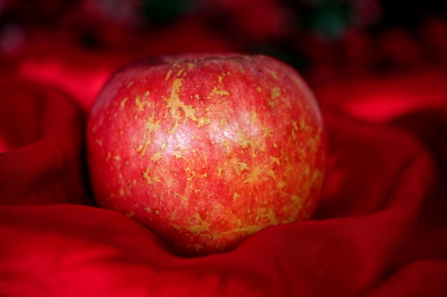 红色诱人苹果图片