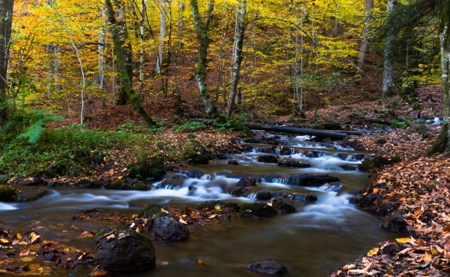 秋季山间小溪图片