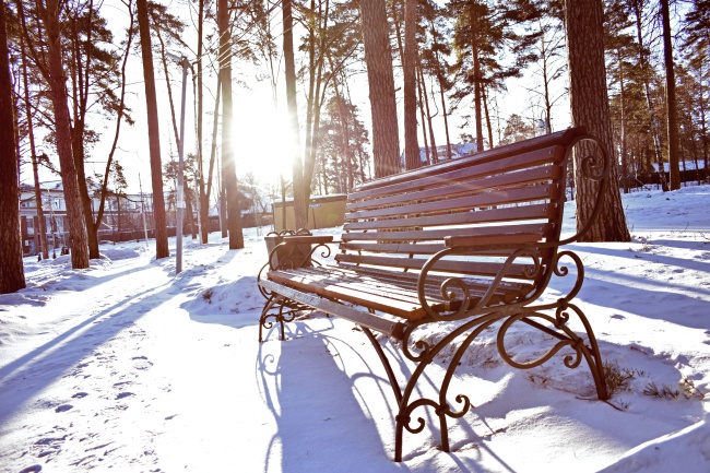 清晨雪地休闲靠椅图片