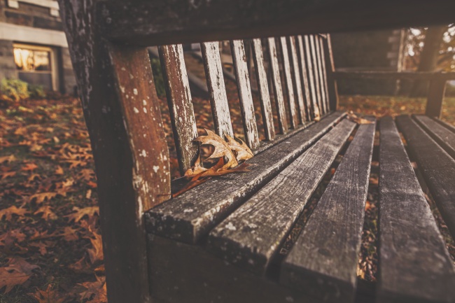 秋天公园长椅唯美意境图片