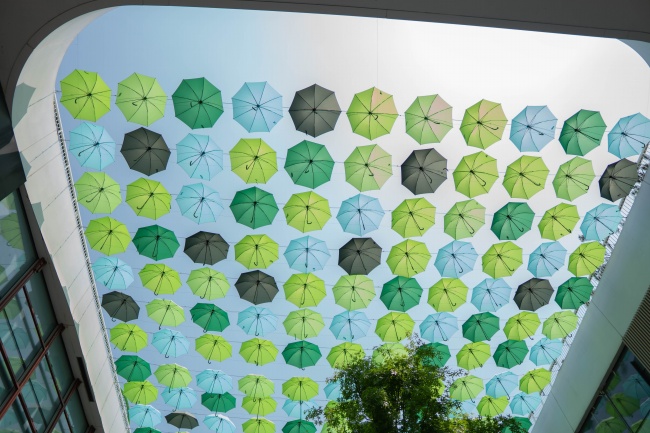 绿色雨伞天幕图片