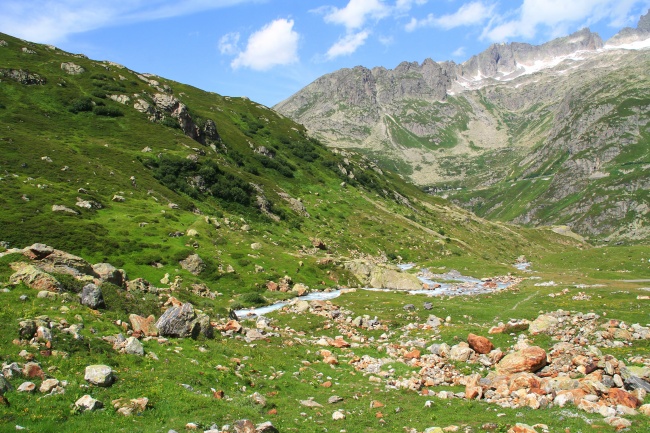 绿色瑞士山景观图片