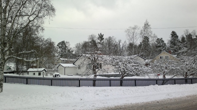 冬季村庄雪屋图片