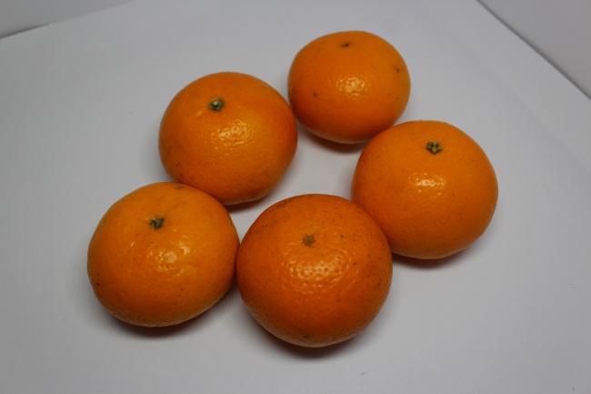 橙色沃柑图片