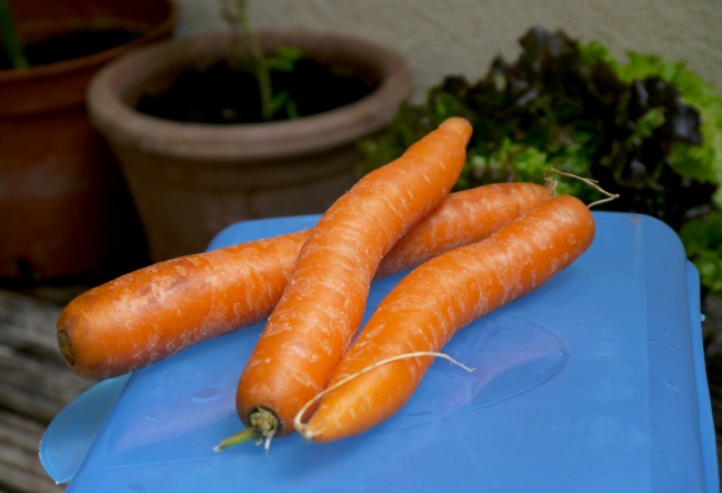 营养红萝卜蔬菜图片