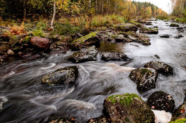秋季树林河流风景图片