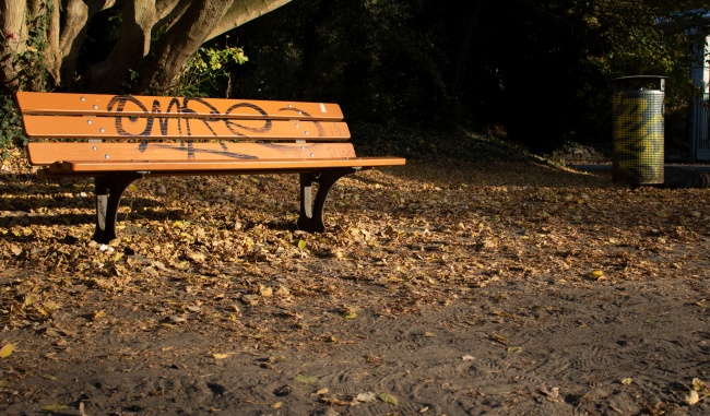 秋季森林休息椅图片