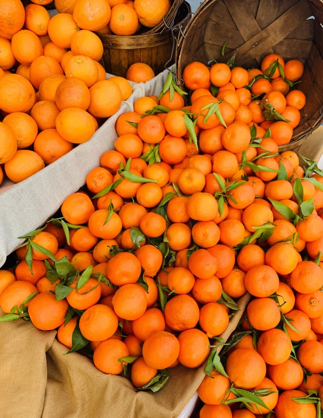 新鲜橘子水果图片