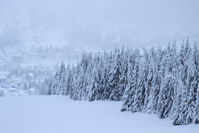 冬季白色积雪景观图片