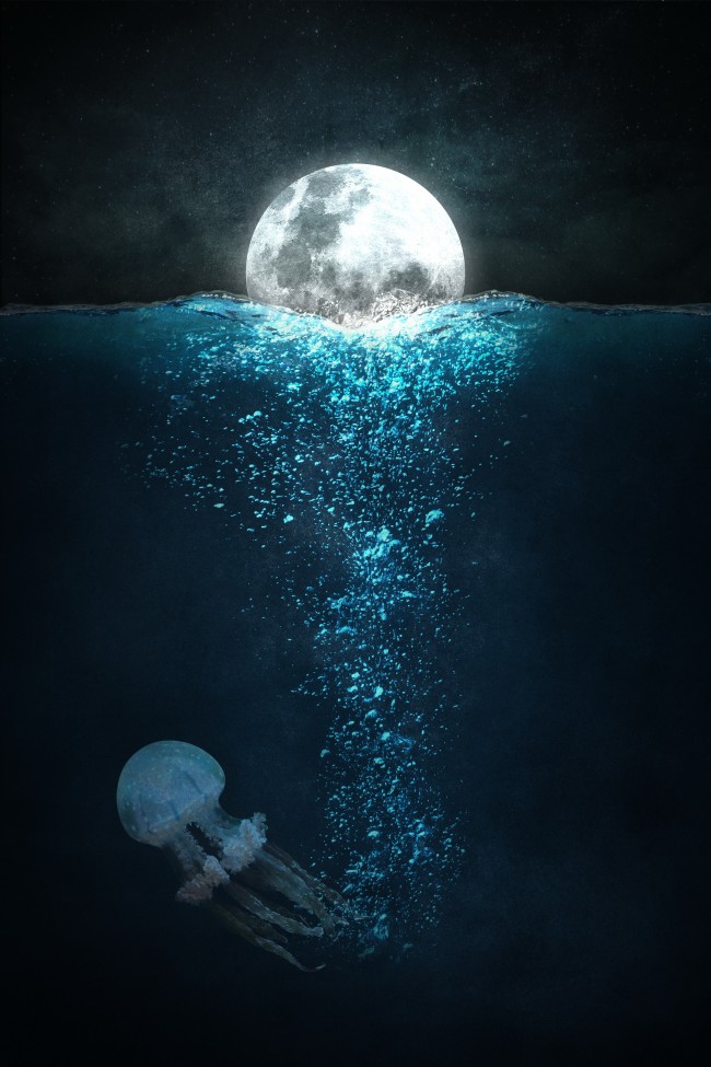 月球海洋水母图片