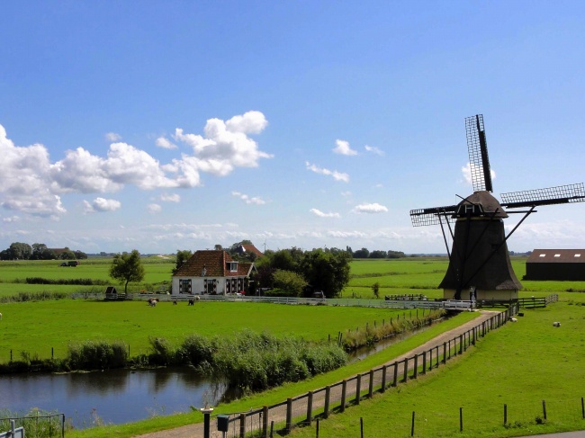 荷兰风景图片