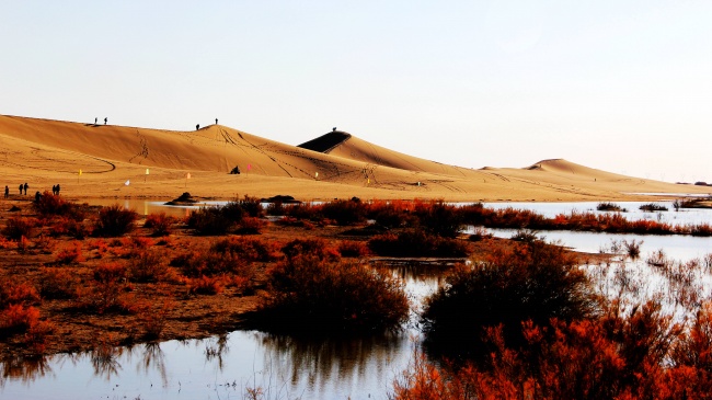 内蒙古八道桥沙漠图片