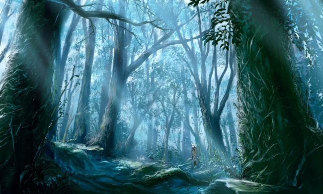 童话森林图片