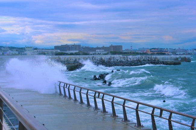 台风天大海图片