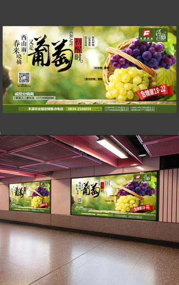 萄葡广告葡萄熟了海报设计