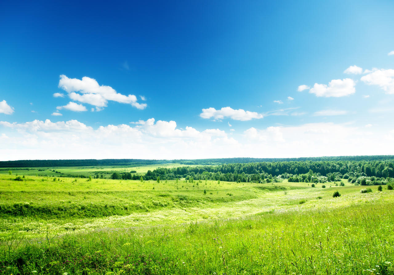 新明亮自然风景春天蓝天白云一望无际广阔的草原风景图
