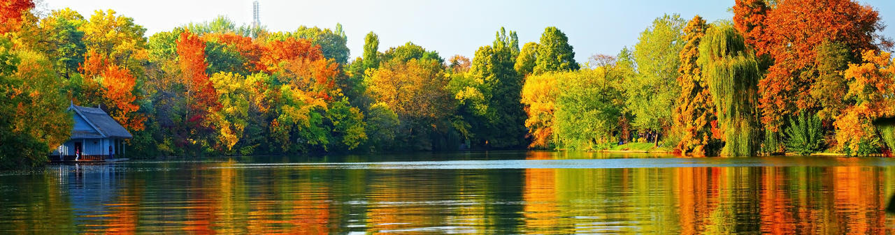 自然风景秋天彩色秋天多彩树林水中树林倒影风景图