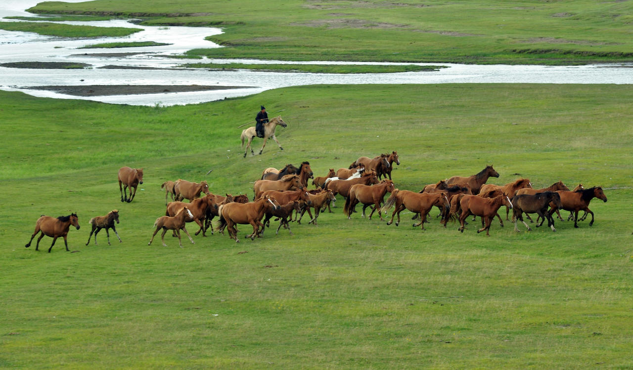 草原景观内蒙古旅游