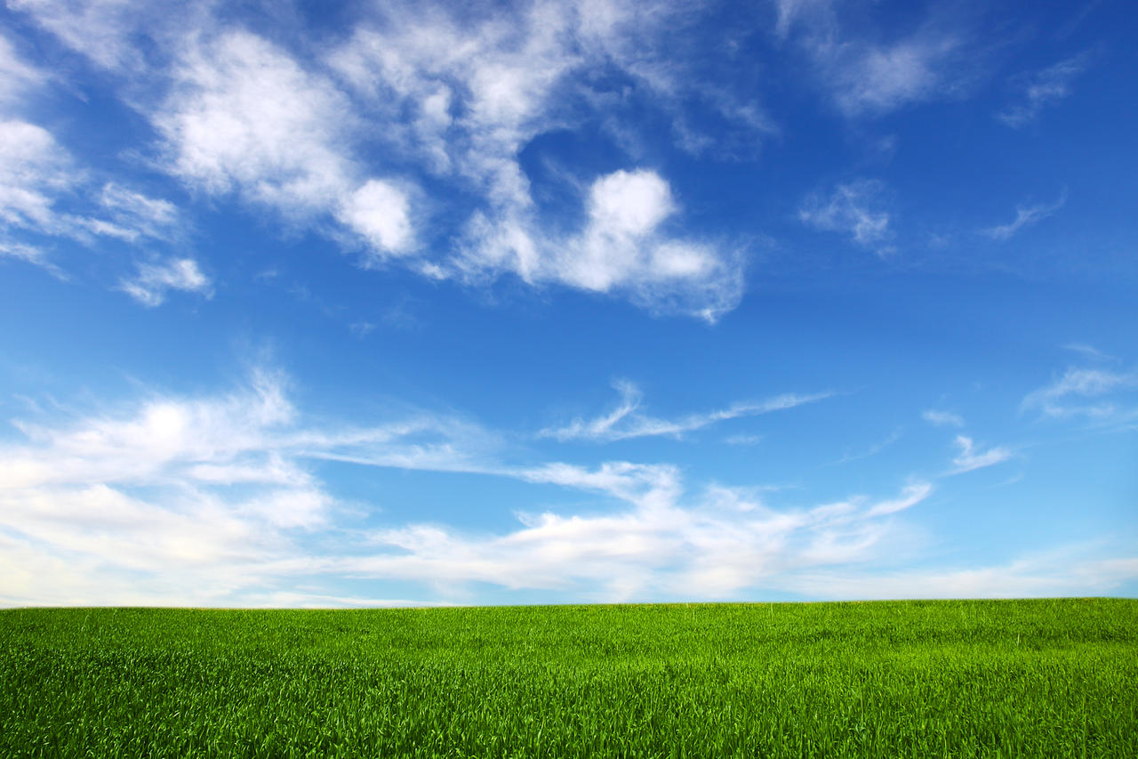 蓝天白云绿草草地背景户外背景野外背景风景希望的田野