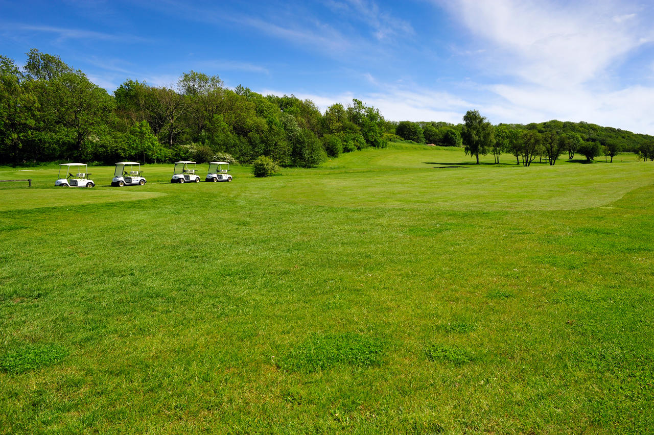绿色草原草地草坪高尔夫球场蓝天白云