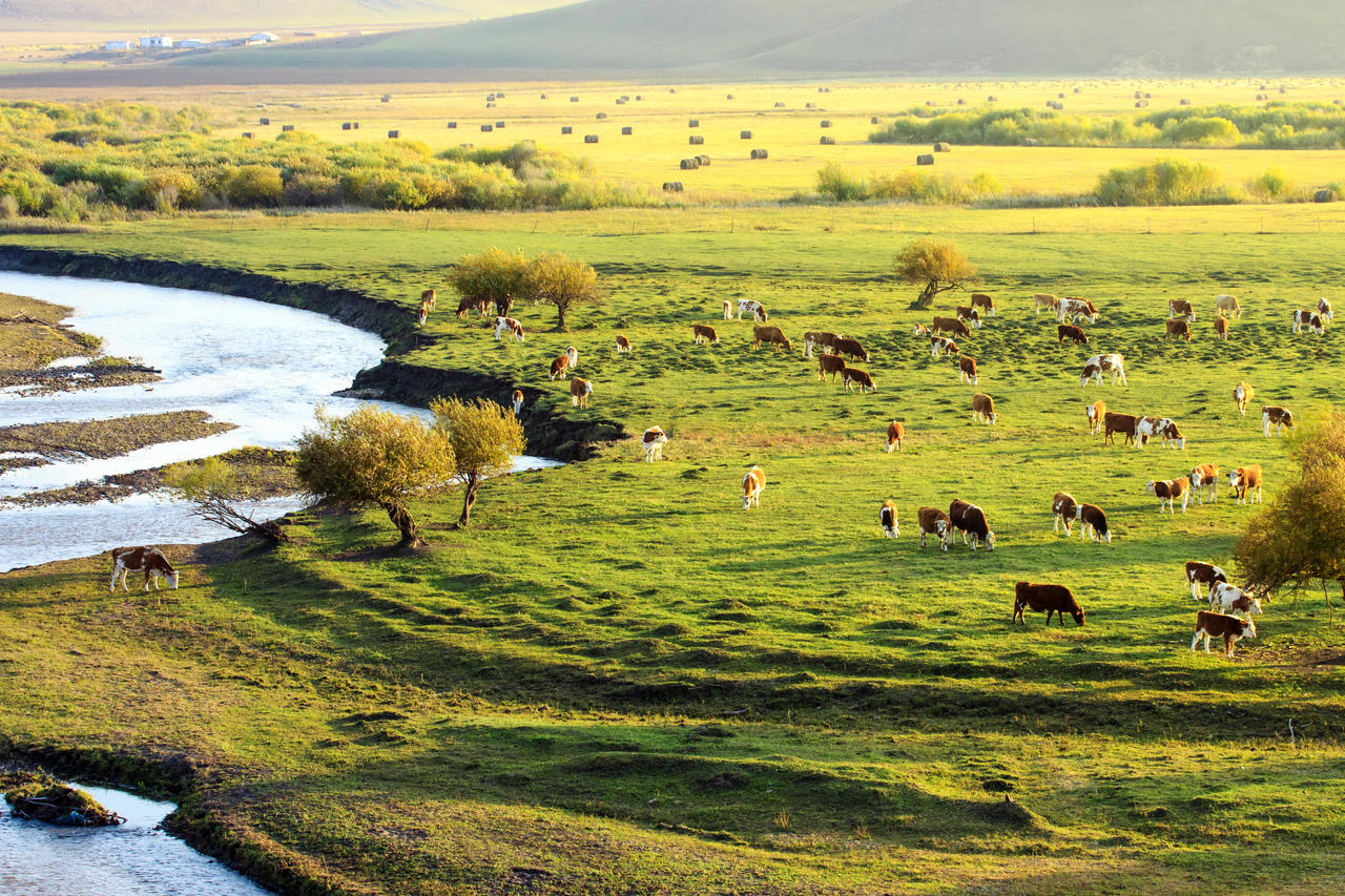 内蒙古大草原天然牧场内蒙古旅游