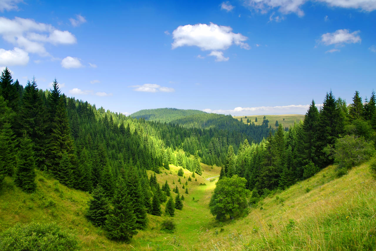 国外景观旅游旅行斯洛伐克上塔特拉山山脉绿松森林覆盖